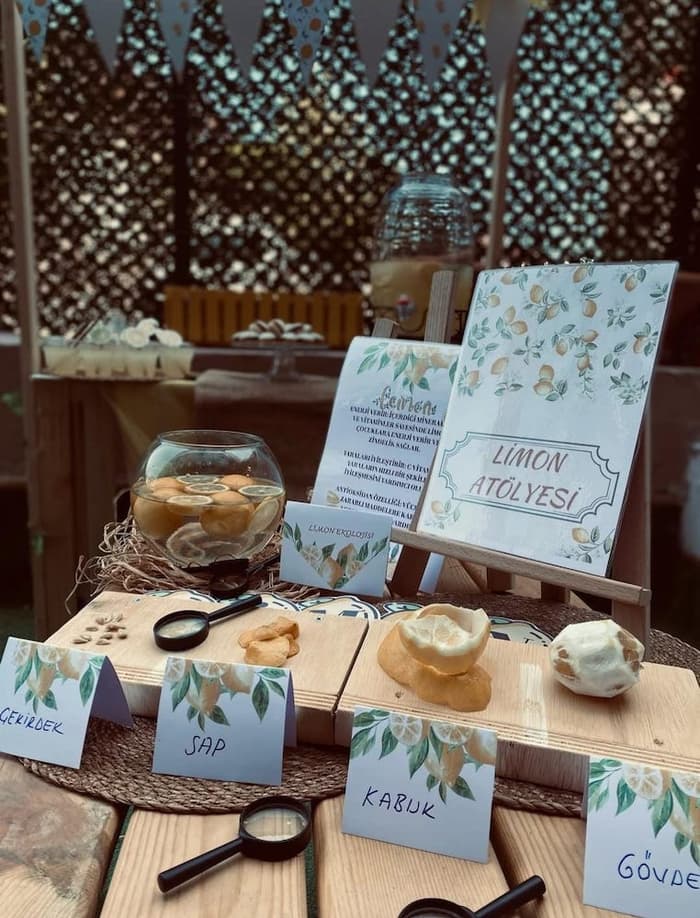 Akyurt Sebat Anaokulu - 4. Fotoğraf