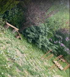 Artı Destek Anaokulu