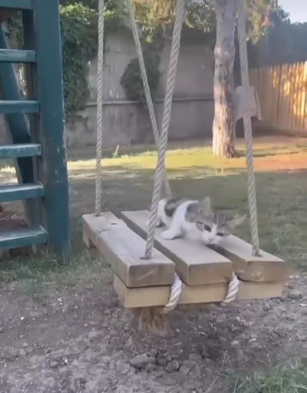 Beytepe Mor Anaokulu - 4. Fotoğraf