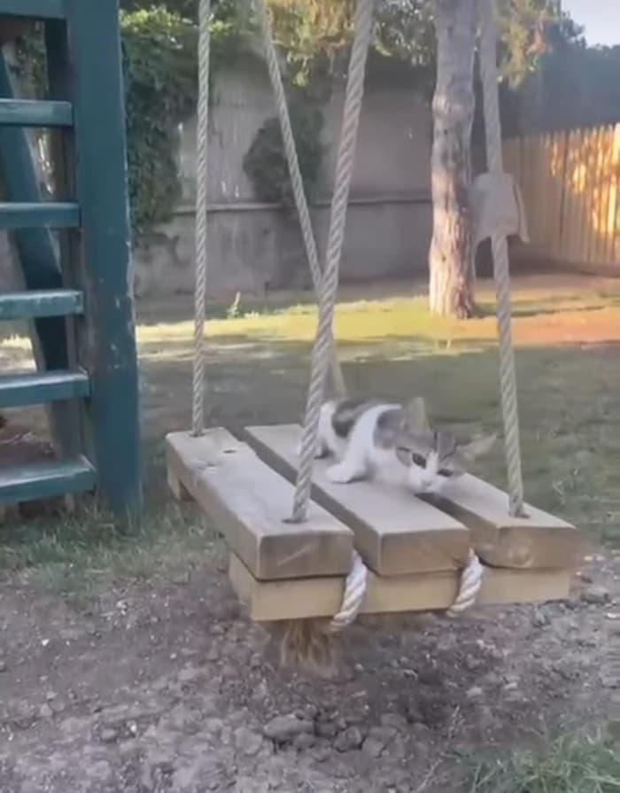 Beytepe Mor Anaokulu - 4. Fotoğraf