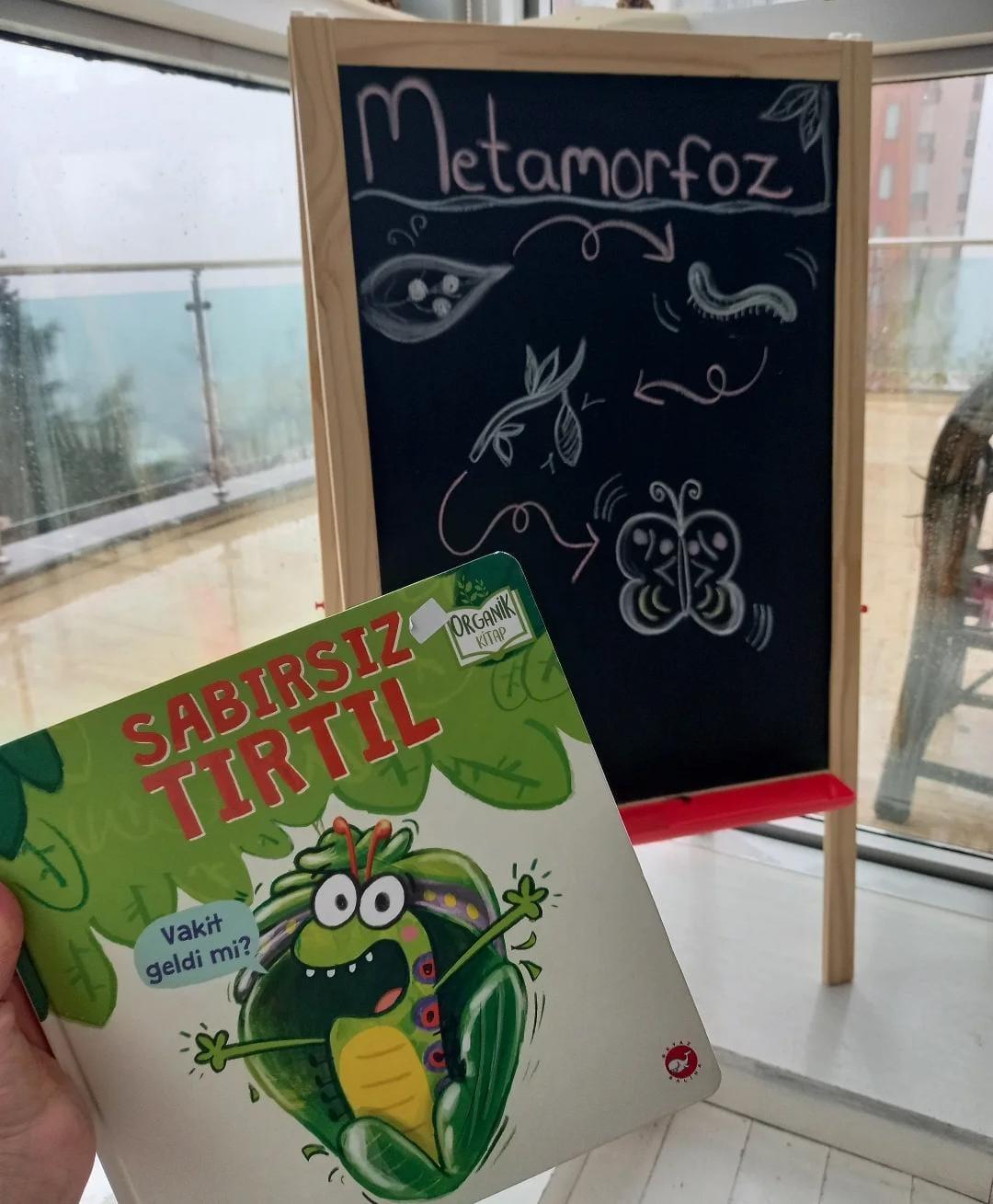 Çiftlik Evi Anaokulu