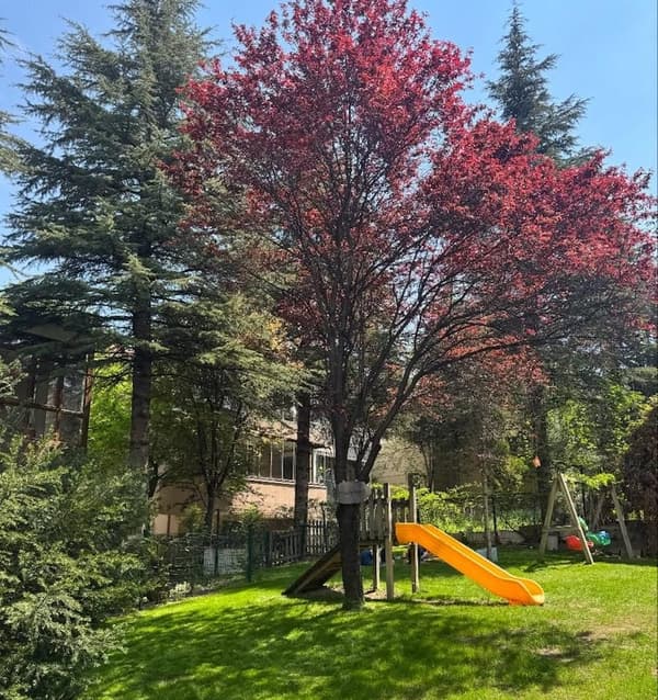 Sevgim Anaokulu - 3. Fotoğraf