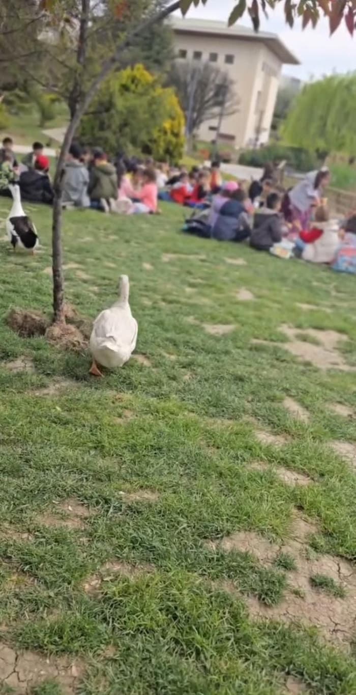 Bağ Anaokulu - 5. Fotoğraf