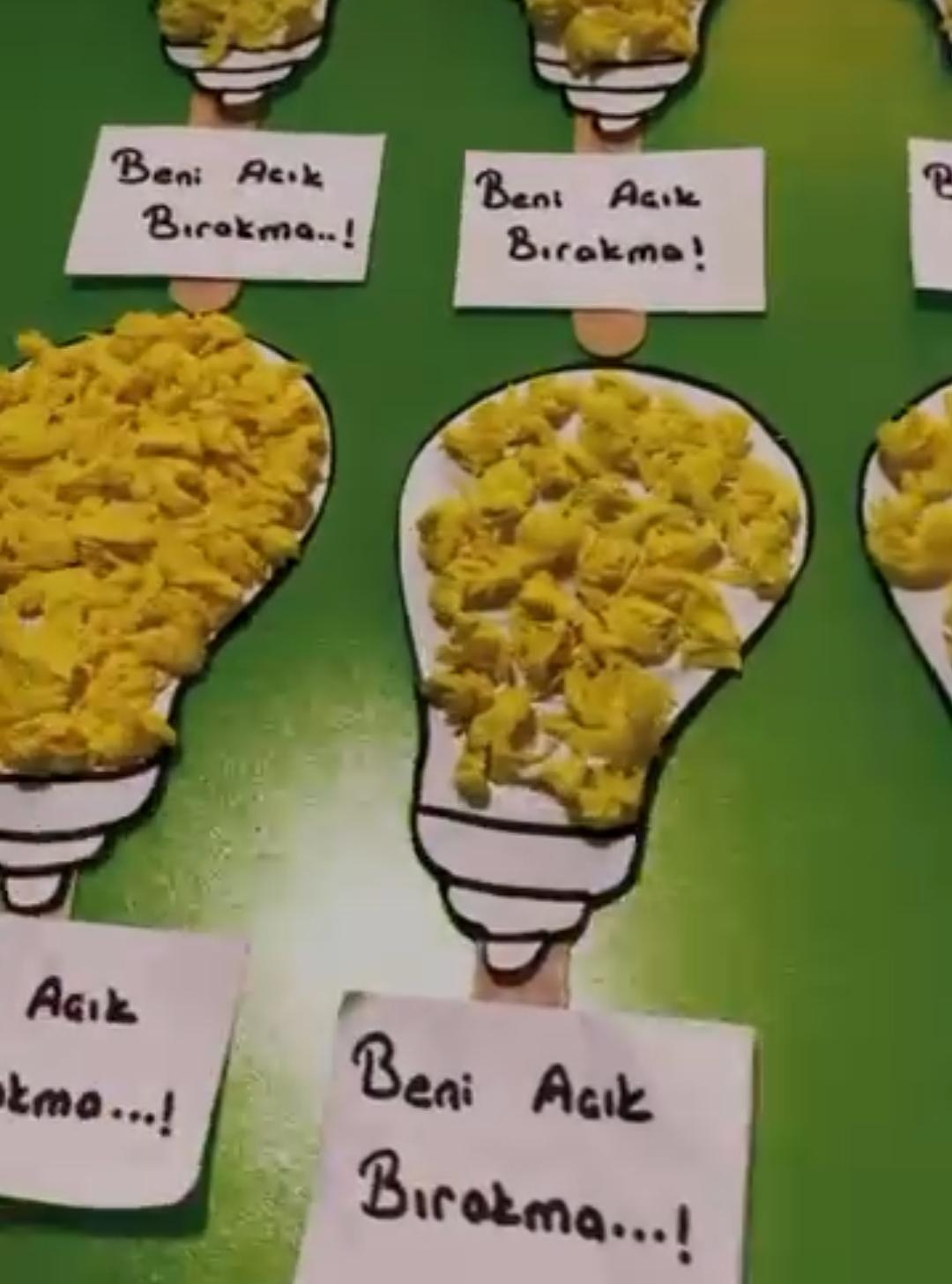 Bilge Beyin Anaokulu