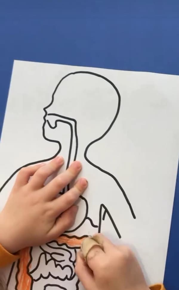 Mutluluk Ülkesi 3 Anaokulu - 2. Fotoğraf