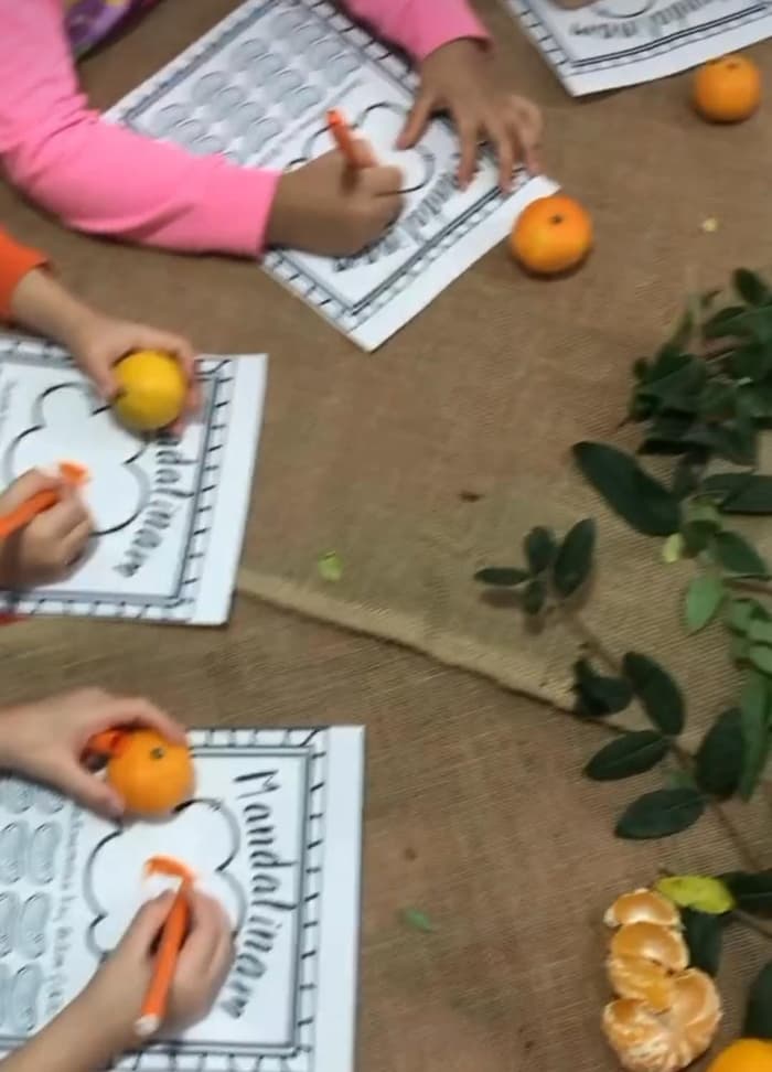 Mutluluk Ülkesi 3 Anaokulu - 3. Fotoğraf