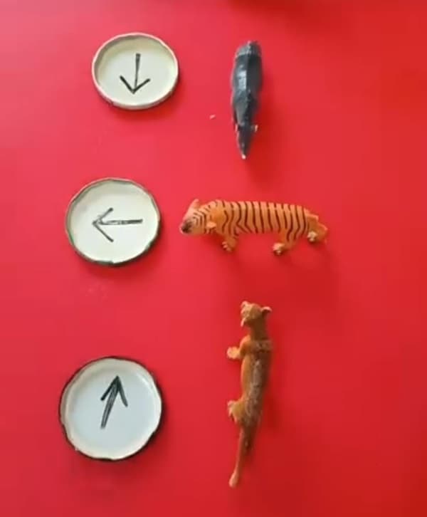 İki Yaprak Anaokulu - 4. Fotoğraf