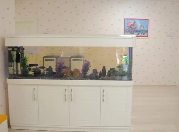 Ankara Hayat Anaokulu - 5. Fotoğraf Ankara Hayat Anaokulu - 5. Fotoğraf