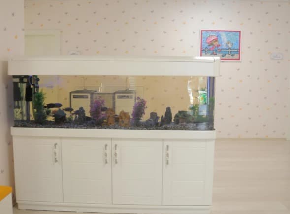 Ankara Hayat Anaokulu - 5. Fotoğraf