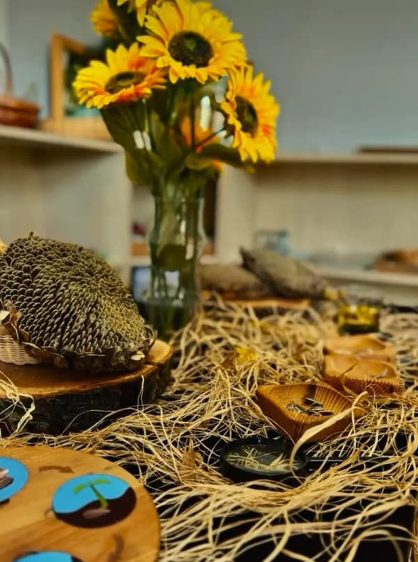 Sezgi Anaokulu - 5. Fotoğraf