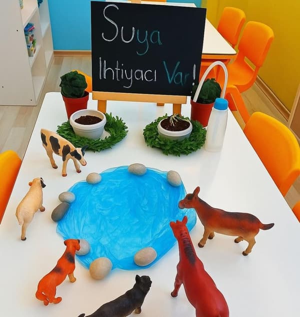 Renkli Düşler Anaokulu - 4. Fotoğraf