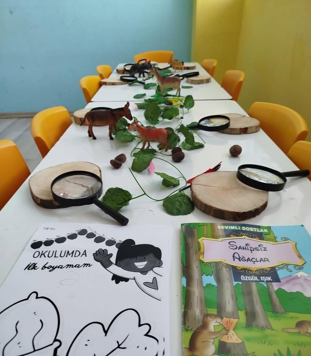 Renkli Düşler Anaokulu