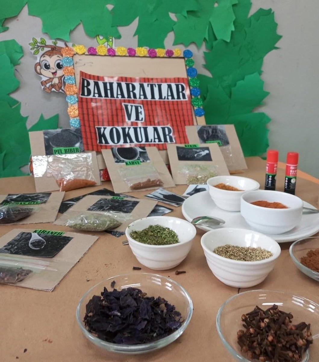 Abidinpaşa Yeşil Elma Anaokulu