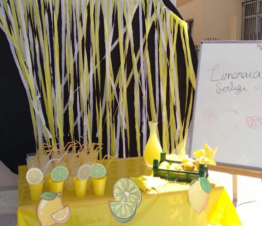 Gülveren Seyit Ali Ermiş Anaokulu Sincan Şubesi