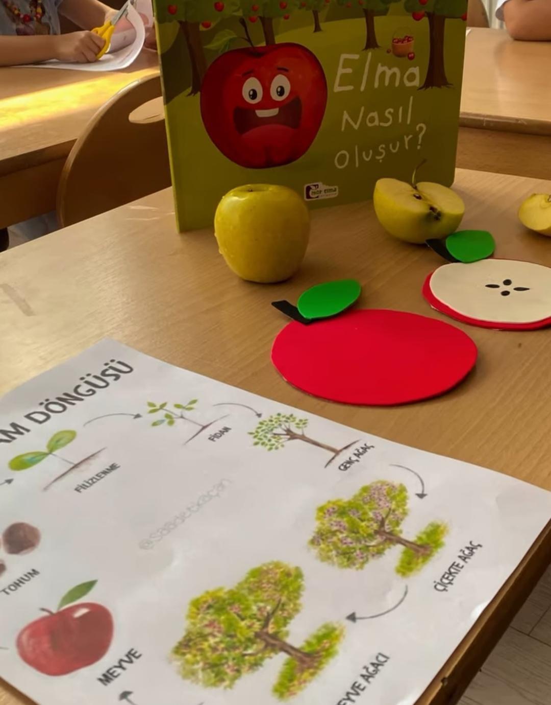 Yenikent Özer Anaokulu