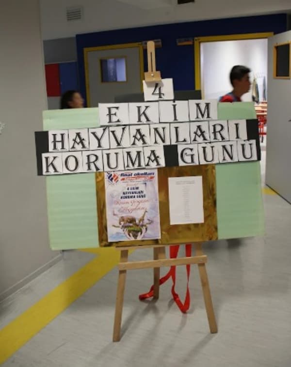 Ankara Final Anaokulu - 5. Fotoğraf Ankara Final Anaokulu - 5. Fotoğraf