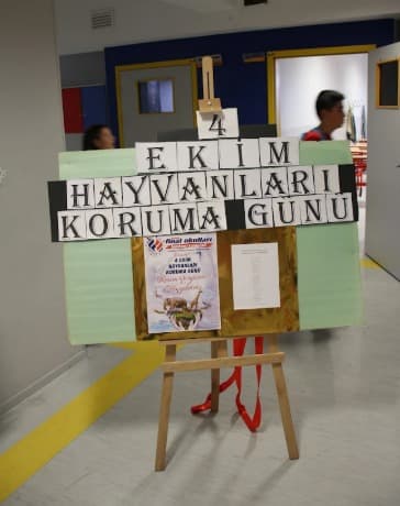 Ankara Final Anaokulu - 5. Fotoğraf