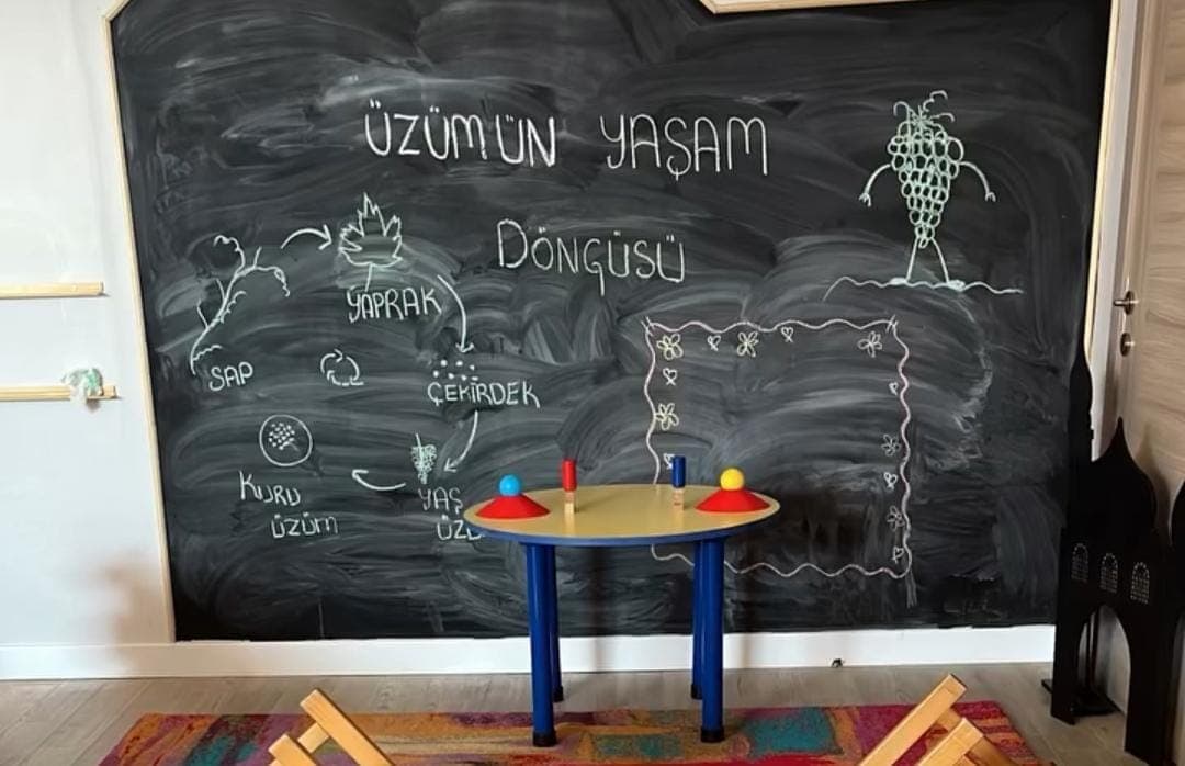 Neşeli Kaşifler Anaokulu