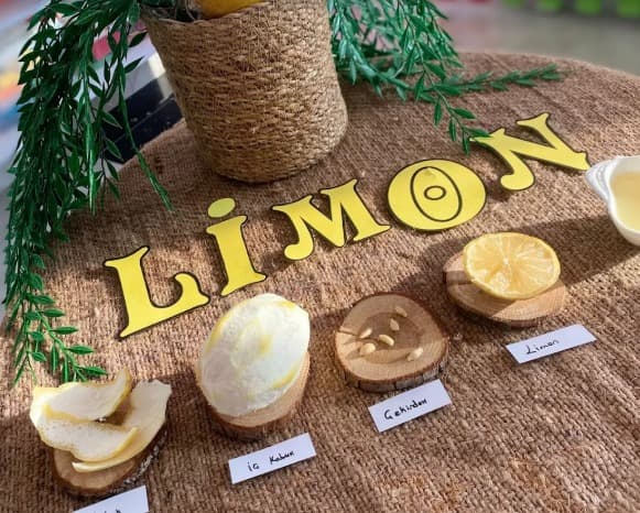 Karagöz Anaokulu - 3. Fotoğraf