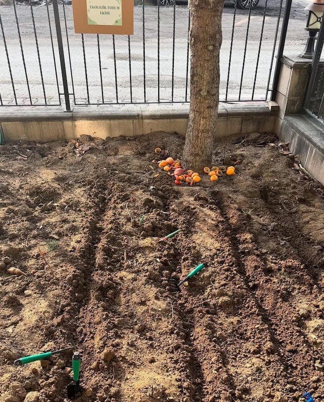 Alem Çocuklar Anaokulu - 5. Fotoğraf