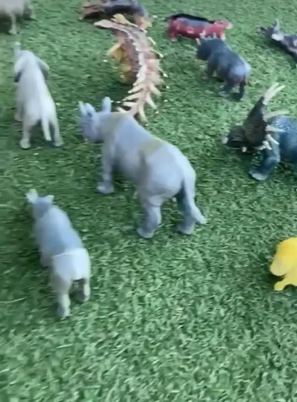 Taçlı Çocuklar Anaokulu - 5. Fotoğraf