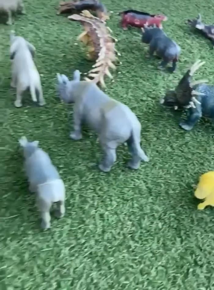 Taçlı Çocuklar Anaokulu - 5. Fotoğraf